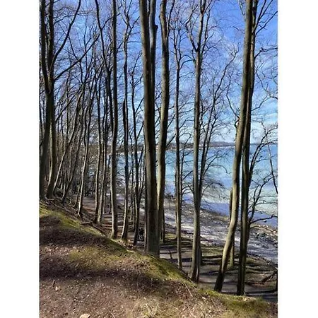 Appartamento At The Park Binz