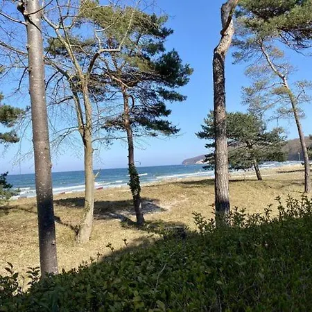 At The Park Binz